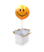 Vignette 1 Ballon Smiley Happy