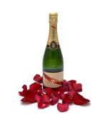 Vignette 1 Champagne G.H. Mumm