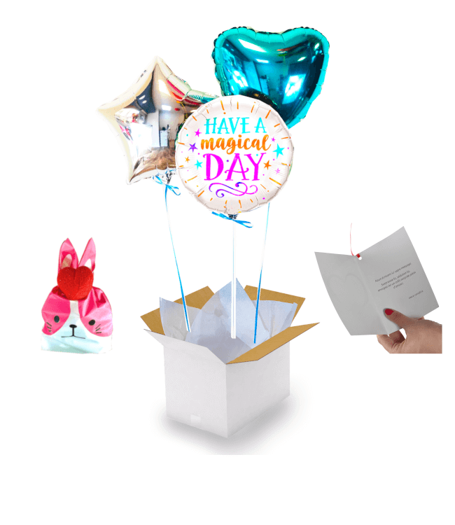 Image 1 Bouquet de ballons Have Magical Day!+Ballotin de Fraise Tagada. Livrer un ballon