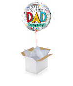Vignette 1 Ballon Dad
