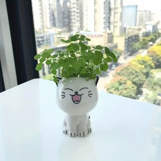 Image 1 Pot de fleurs mini chat rieur en céramique – Décoration mignonne et originale