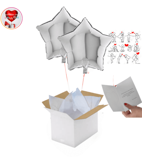 Bouquet de 2 étoiles argentées personnalisables