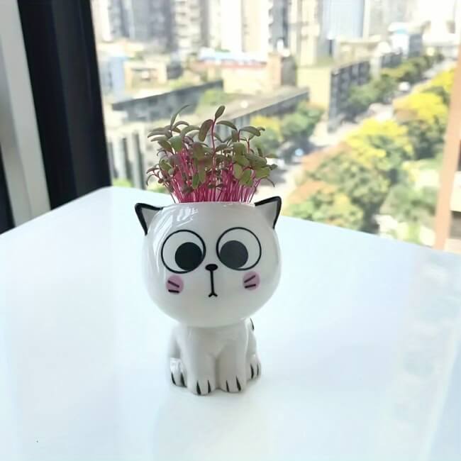 Image 1 Pot de fleurs mini chat en céramique – Le cadeau déco qui fait craquer petits et grands