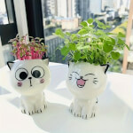 Vignette 3 Pot de fleurs mini chat rieur en céramique – Décoration mignonne et originale